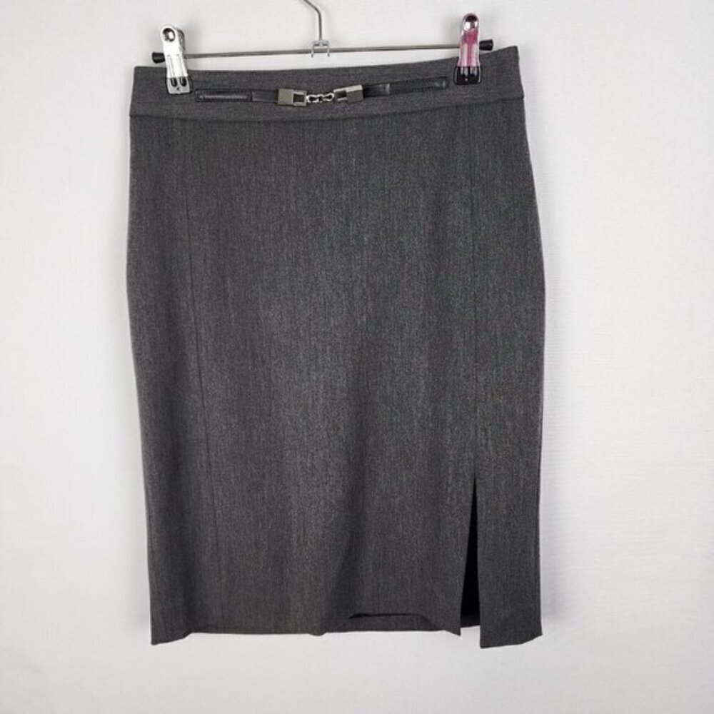 Express Pencil Skirt 2‎
